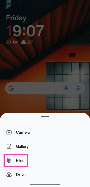 Step 3: Select Files.