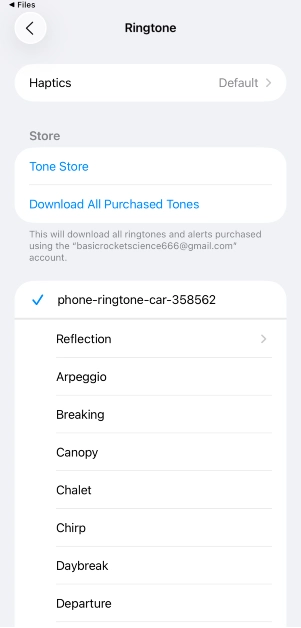 Step 5: You will be redirected to the ringtone library, and your selected audio file will be set as your iPhone’s ringtone.