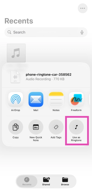 Step 4: Tap on Use as Ringtone.