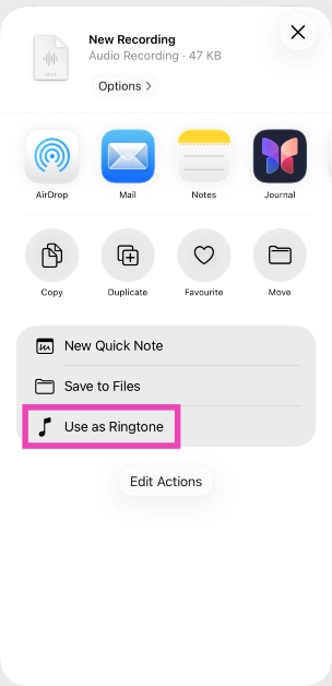 Step 4: Tap on Use as Ringtone.