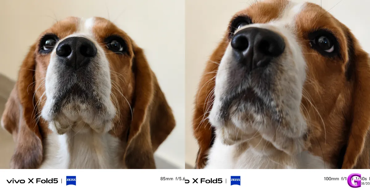 Vivo X Fold 5 performance