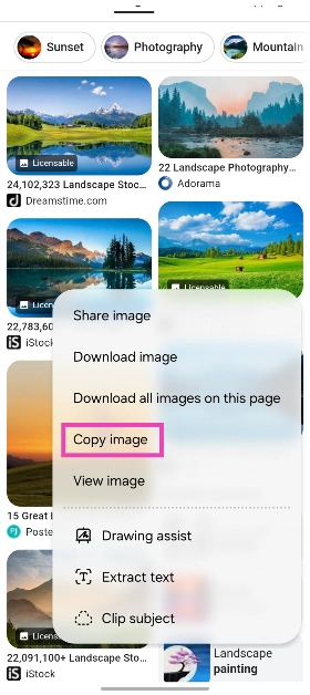 Step 2: Long-press the image and select Copy from the pop-up menu.