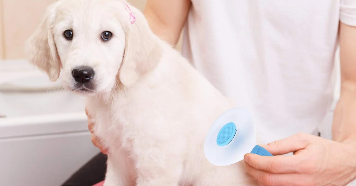 Depets Self Cleaning Slicker Brush