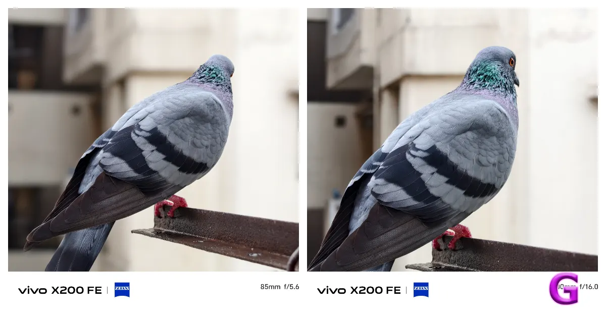 Vivo X200 FE pros and cons