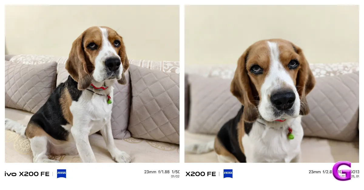 Vivo X200 FE pros and cons