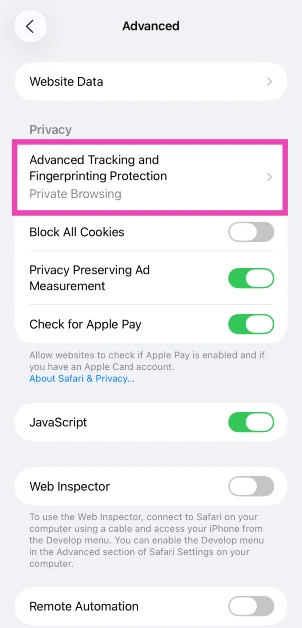 Step 6: Tap on Advanced Tracking and Fingerprinting Protection.