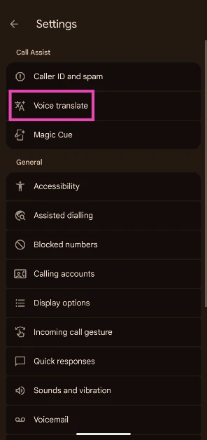 Step 4: Select Voice translate.
