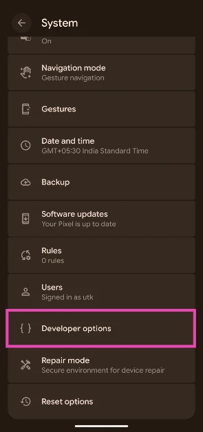 Step 4: Tap on Developer options. How to enable Desktop Mode on Android 16