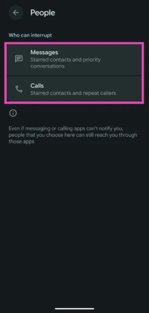 Step 5: Select Messages or Calls.