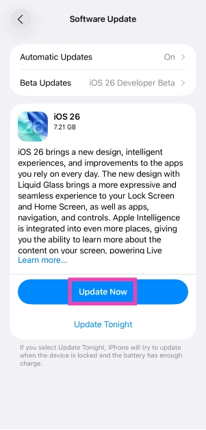 Step 4: Your iPhone will automatically check for the latest update. Hit Update Now.