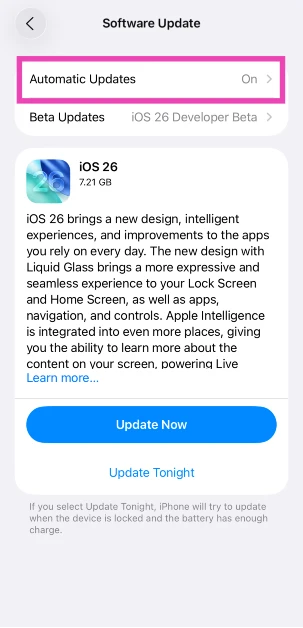 Step 4: Tap on Automatic Updates. iOS 26 officially launched: Here’s how you can download it on your iPhone