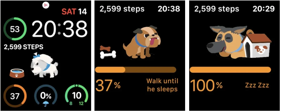 StepDog