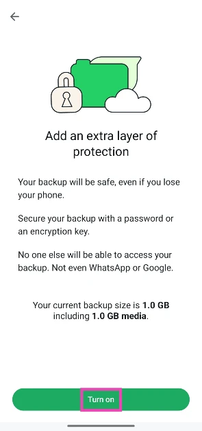 Step 5: Tap on Turn on.