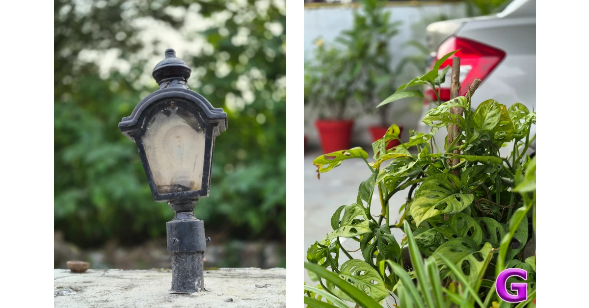 Samsung Galaxy S25 FE Review: Performance and Cameras