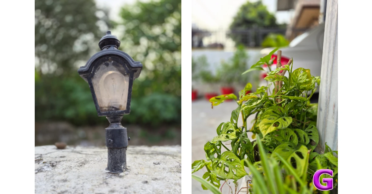 Samsung Galaxy S25 FE Review: Performance and Cameras