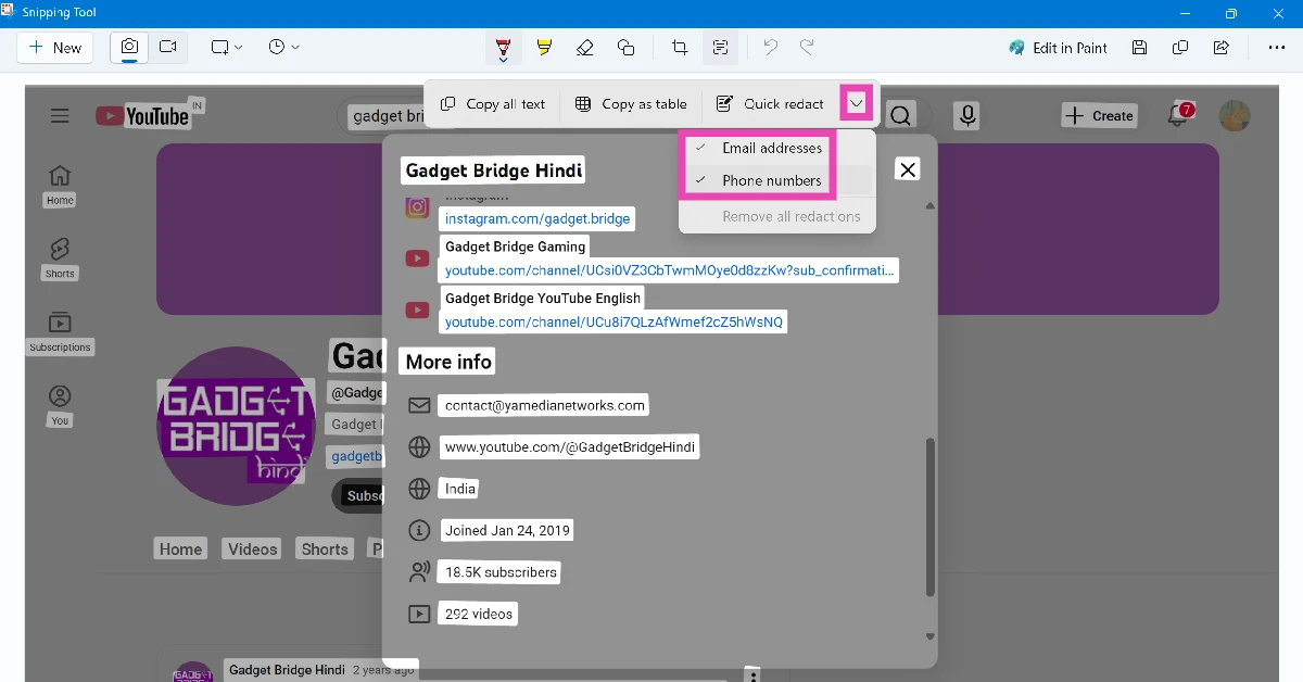 Step 4: Hit the arrow icon next to Quick redact and select Phone numbers and Email addresses.