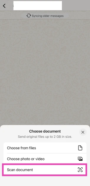 Step 4: Select Scan Document.
