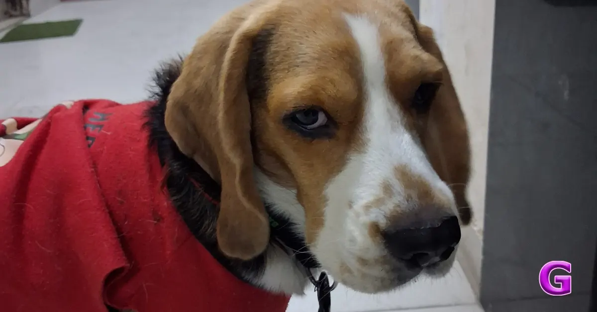 Review of Samsung Galaxy M17 5G