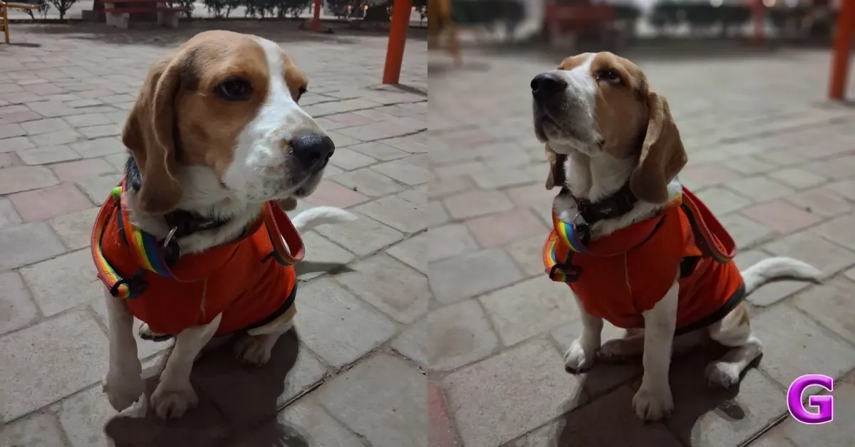 Review of Samsung Galaxy M17 5G