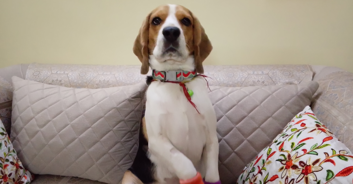 Review of Infinix Smart 10 