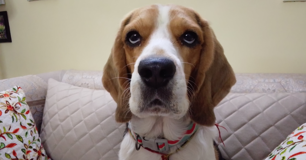 Review of Infinix Smart 10 