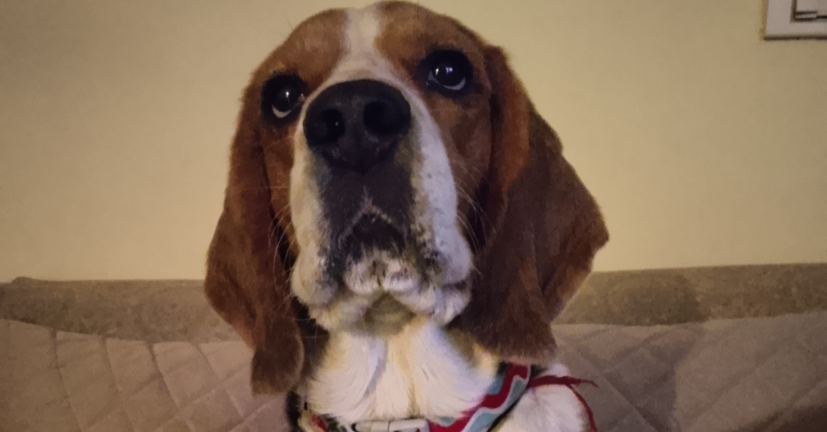 Review of Infinix Smart 10 