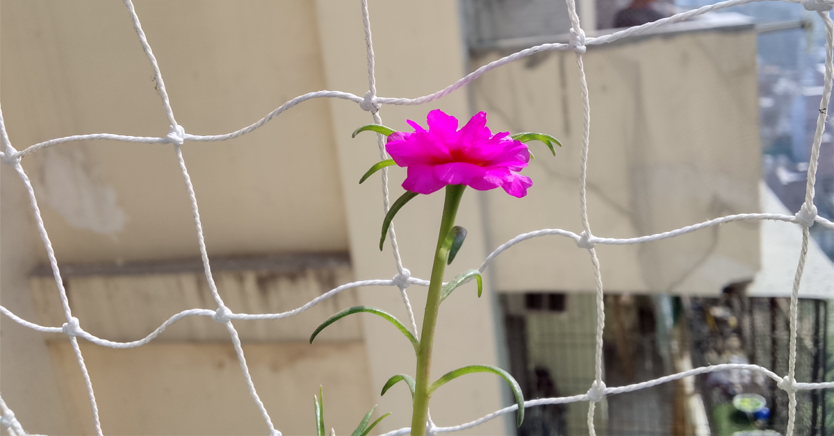 Review of Infinix Smart 10 