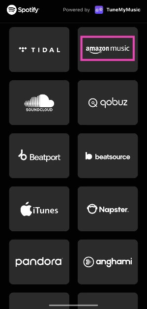 Step 6: Select Amazon Music.