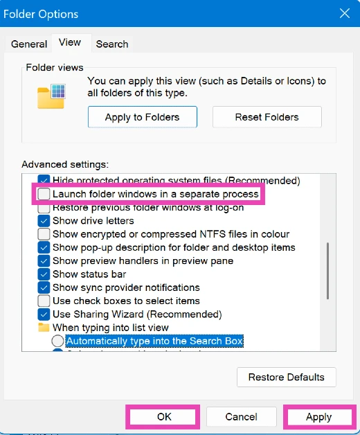 Step 4: Deselect ‘Launch folder windows in a separate process’. Downloads folder loading slowly in Windows 11? Try these 4 fixes