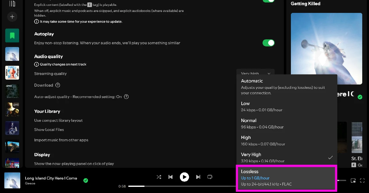 Step 4: Go to the Audio quality section and select Lossless in the drop-down menus next to Streaming quality and Download.