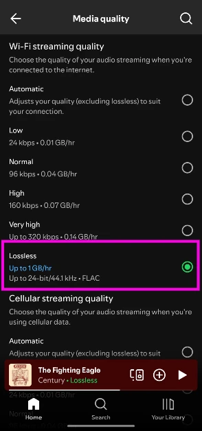 Step 5: Select Lossless as the audio quality for WiFi and/or cellular streaming. You can also select it for Downloads.
