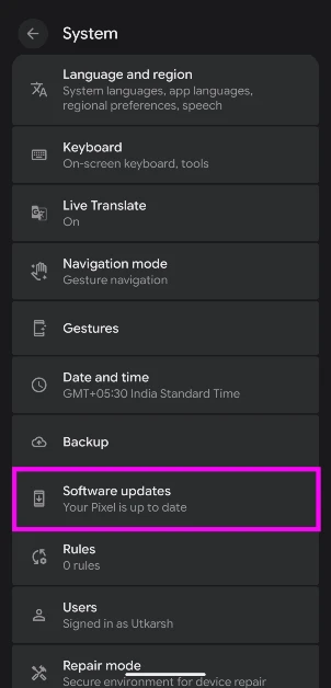 Step 3: Tap on Software update. Let your device check for new updates.
