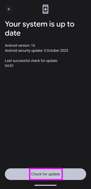 Step 5: Tap on Check for update. How to download Android 16 on Google Pixel