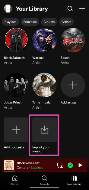 Step 4: Tap on Import your music.