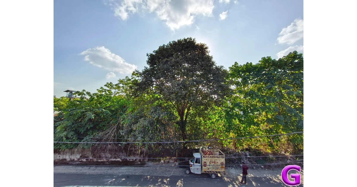 Vivo V60e Review: Performance and Cameras