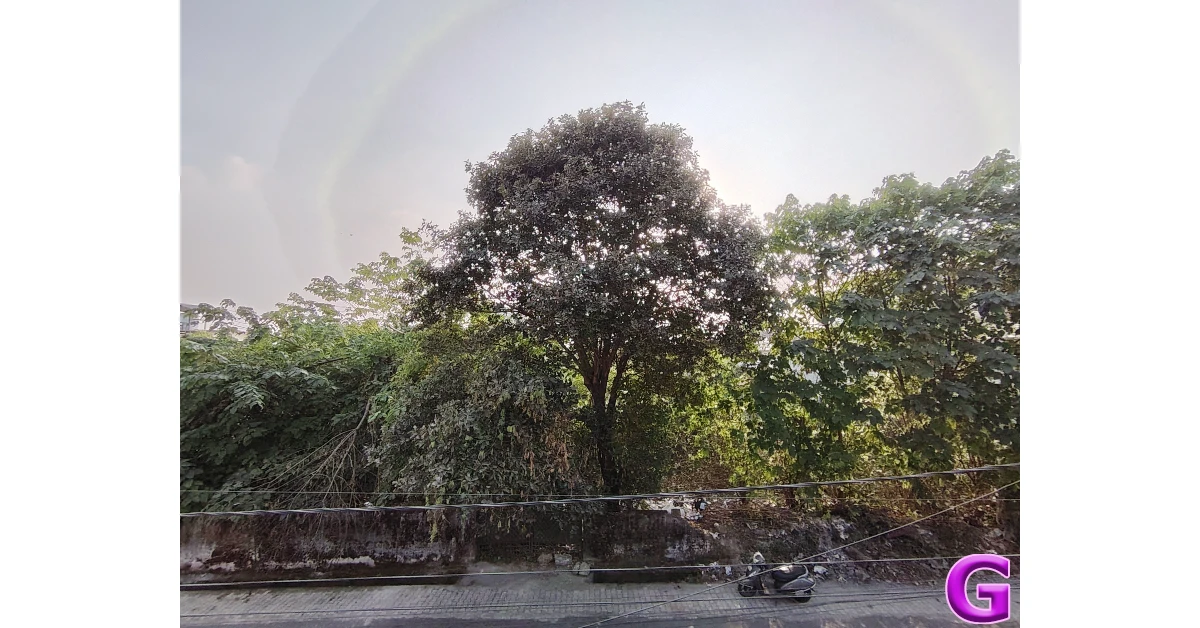 Honor X9c Review: Performance and Cameras