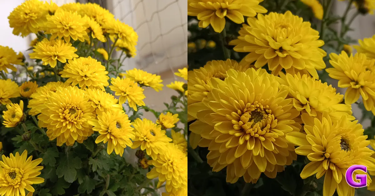 Redmi 15C 5G review India