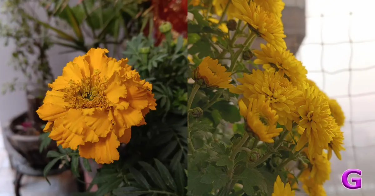 Redmi 15C 5G review India