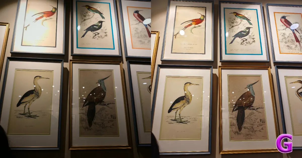 OPPO Find X9 Pro review camera