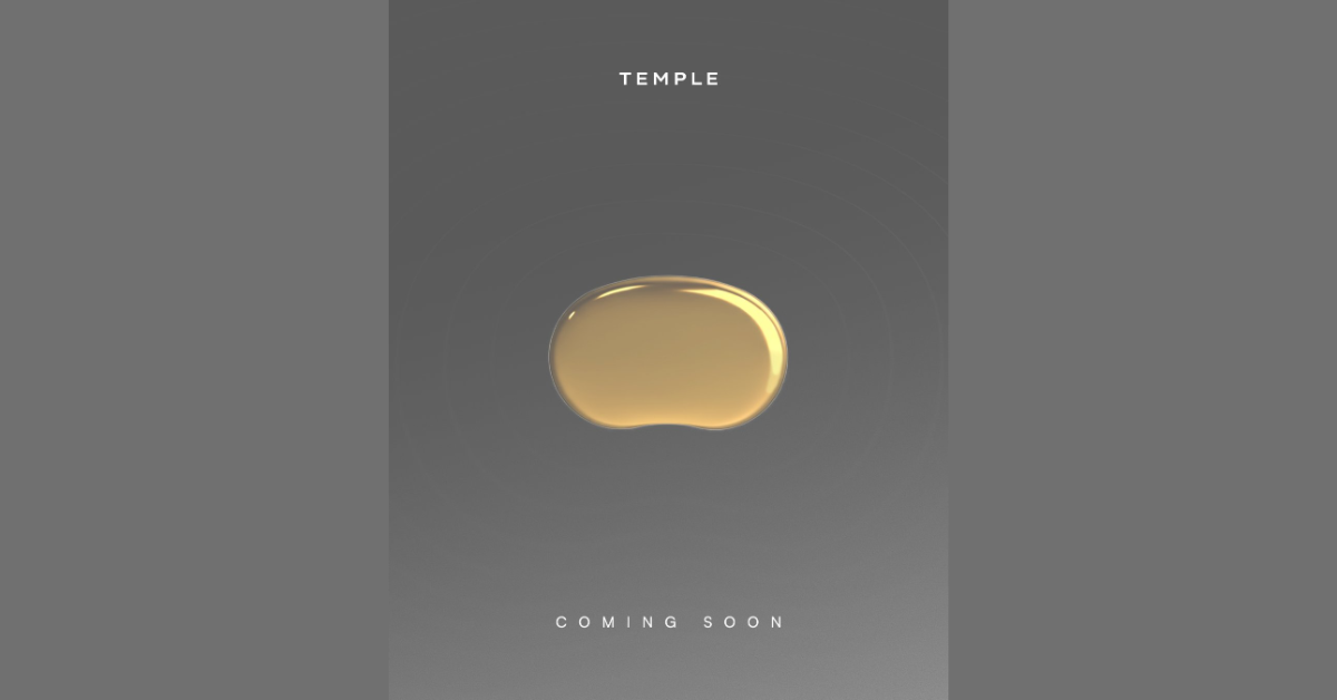 Deepinder Goyal teased Temple, a small tool claimed to give an accurate measurement of brain flow