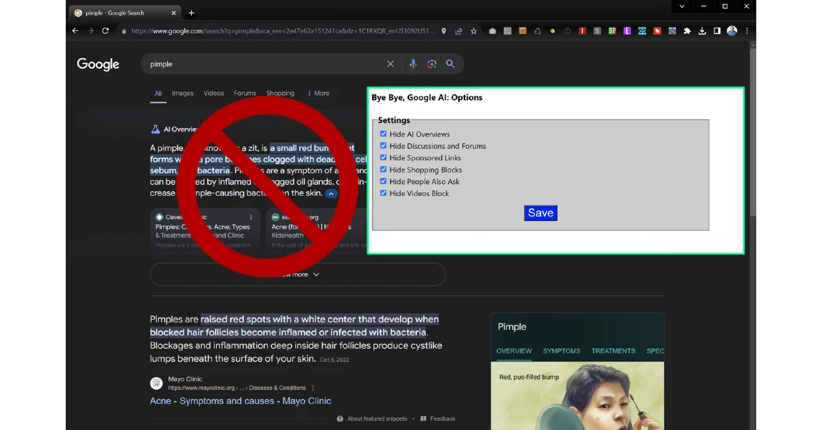 Use 'Bye Bye, Google AI'