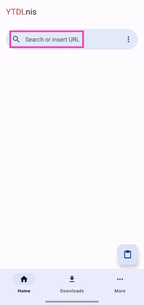 Step 3: Launch the app and paste the link to the YouTube video you wish to install in the text box.