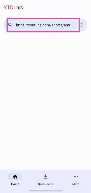 Step 3: Launch the app and paste the link to the YouTube Short you wish to install in the text box.