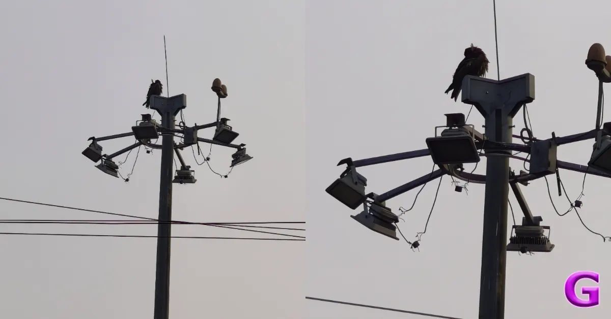 Vivo X300 Review India