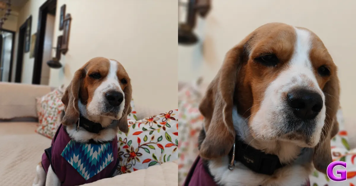 review of OnePlus 15R