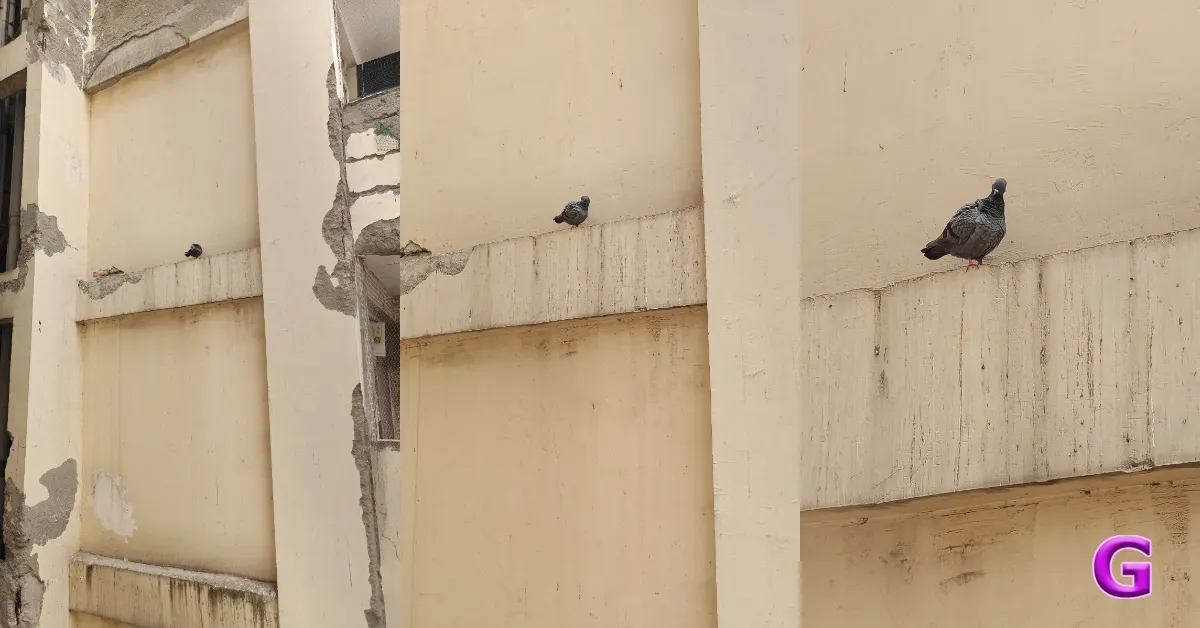 review of OnePlus 15R