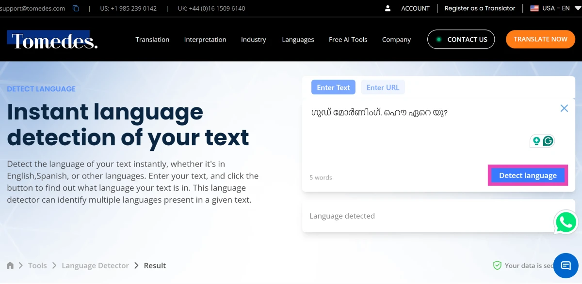 Step 3: Click on Detect Language.