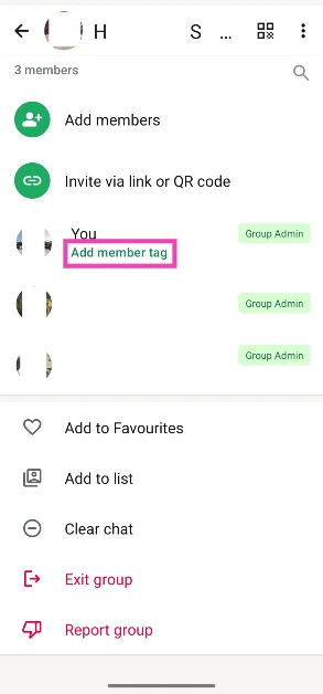 Tap on Add a member tag.