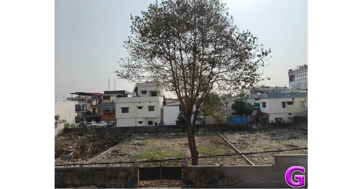 Oppo Reno15 Pro Mini 5G Review: Performance and Cameras