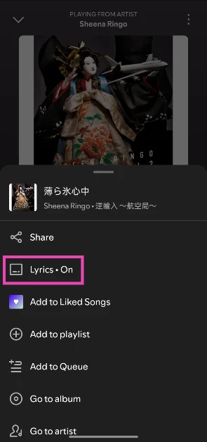 Tap the Lyrics toggle switch if it says On.